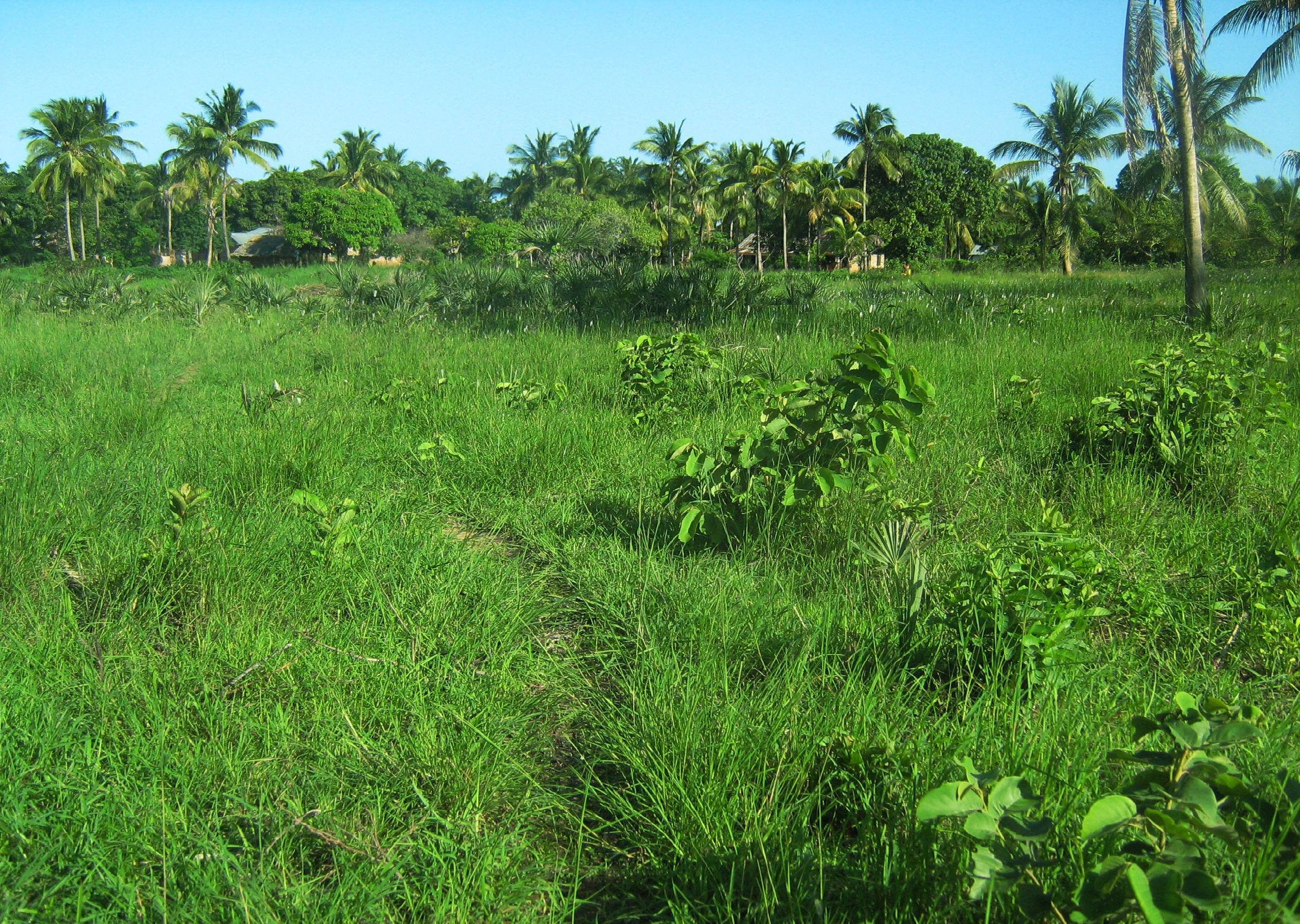 ¼ Acre Secured Plots In An Estate, Diani